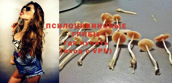мдпв Киреевск