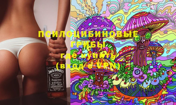 стаф Алексеевка