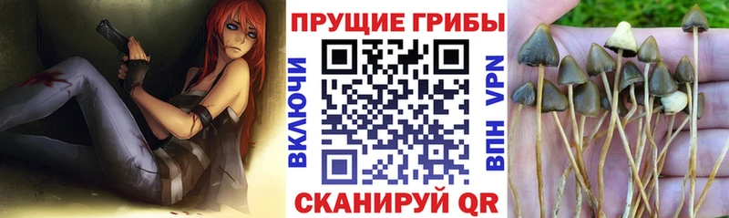 Галлюциногенные грибы ЛСД  сколько стоит  Югорск 